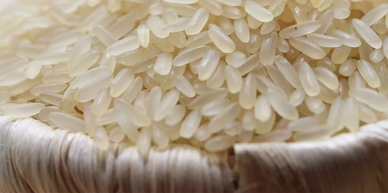 Non-basmati rice grains.