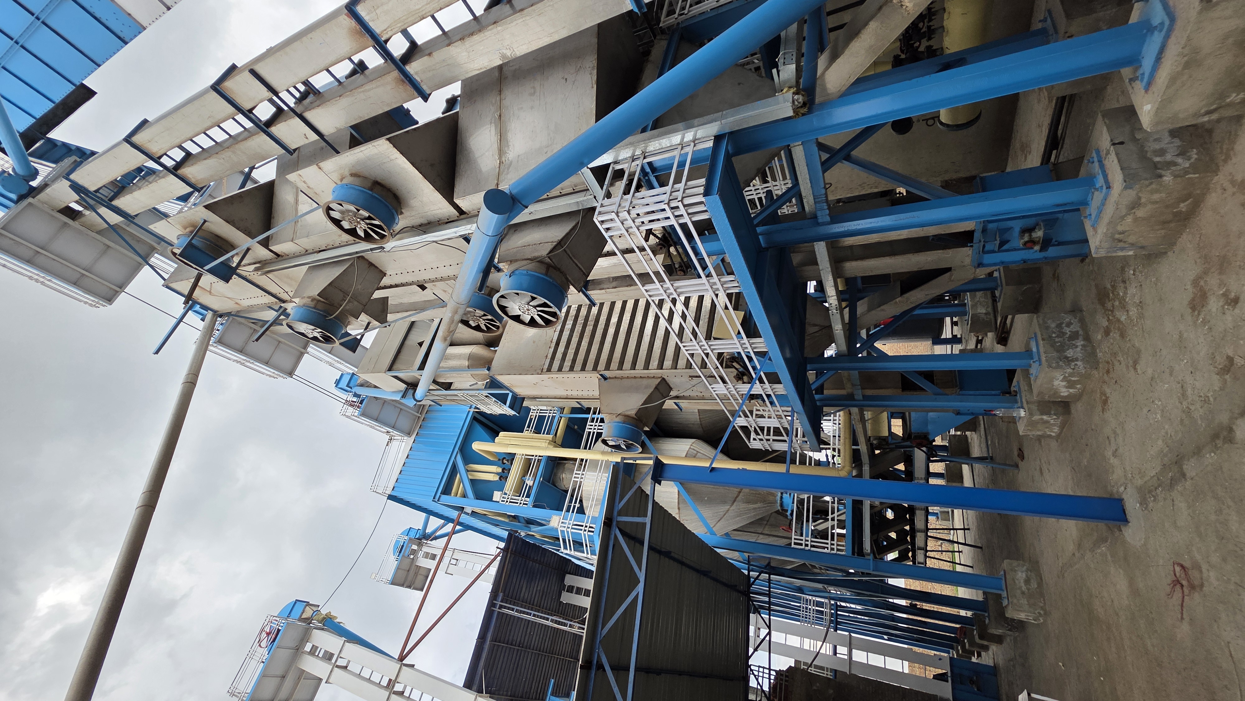 Steaming and drying system supporting steam rice processing.