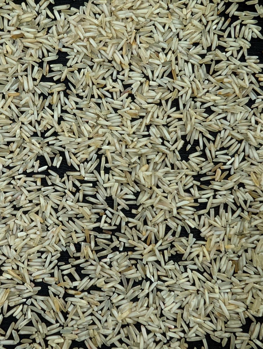 Basmati Rice Steam Rice Rejection product sample.