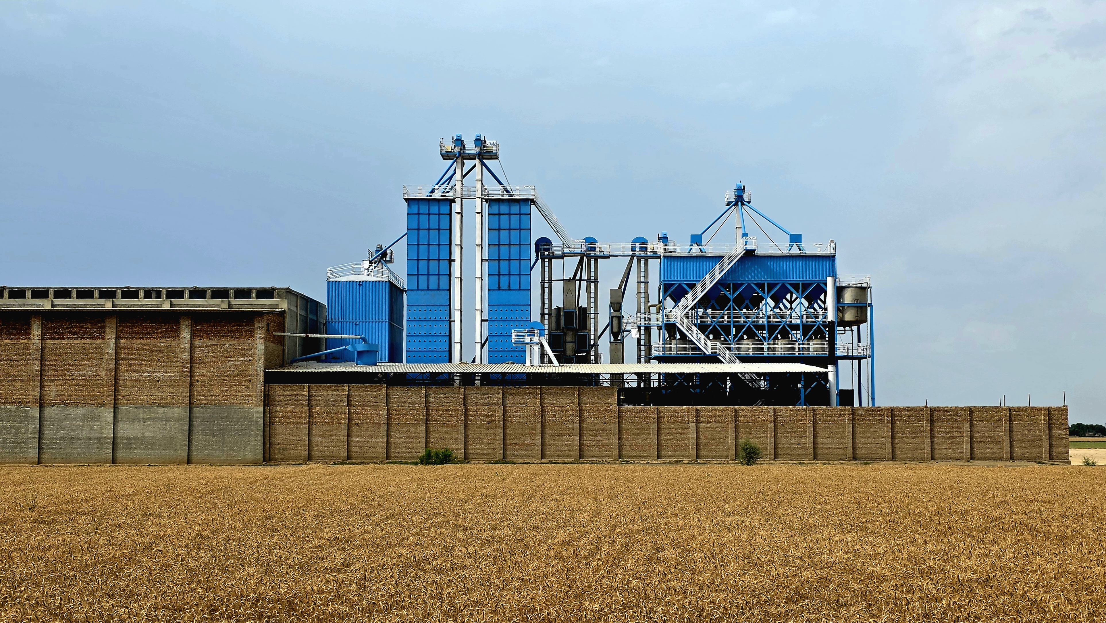 Avena Agro Foods rice factory exterior in Punjab, Pakistan.